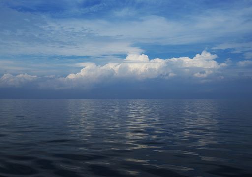 Meer in der N&auml;hrstofffalle: Warum sich die &uuml;berd&uuml;ngte Ostsee nur schleppend erholt