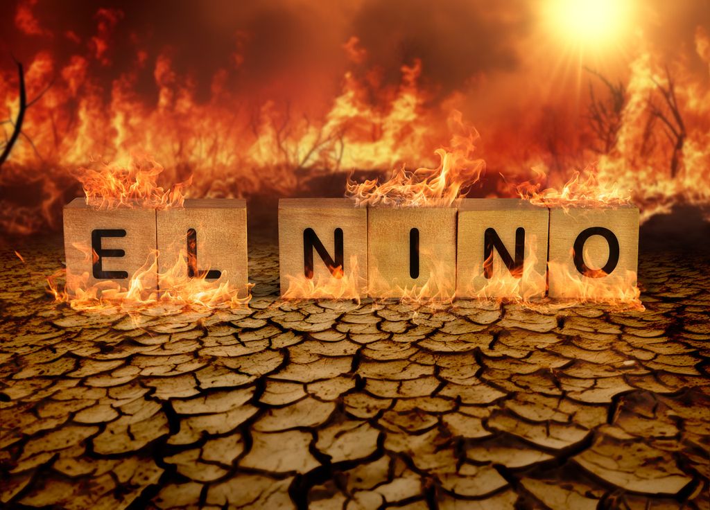 Il est très fort probable qu'El Nino alimente une nouvelle augmentation de la température mondiale. Il est très fort probable qu'El Nino alimente une nouvelle augmentation de la température mondiale.