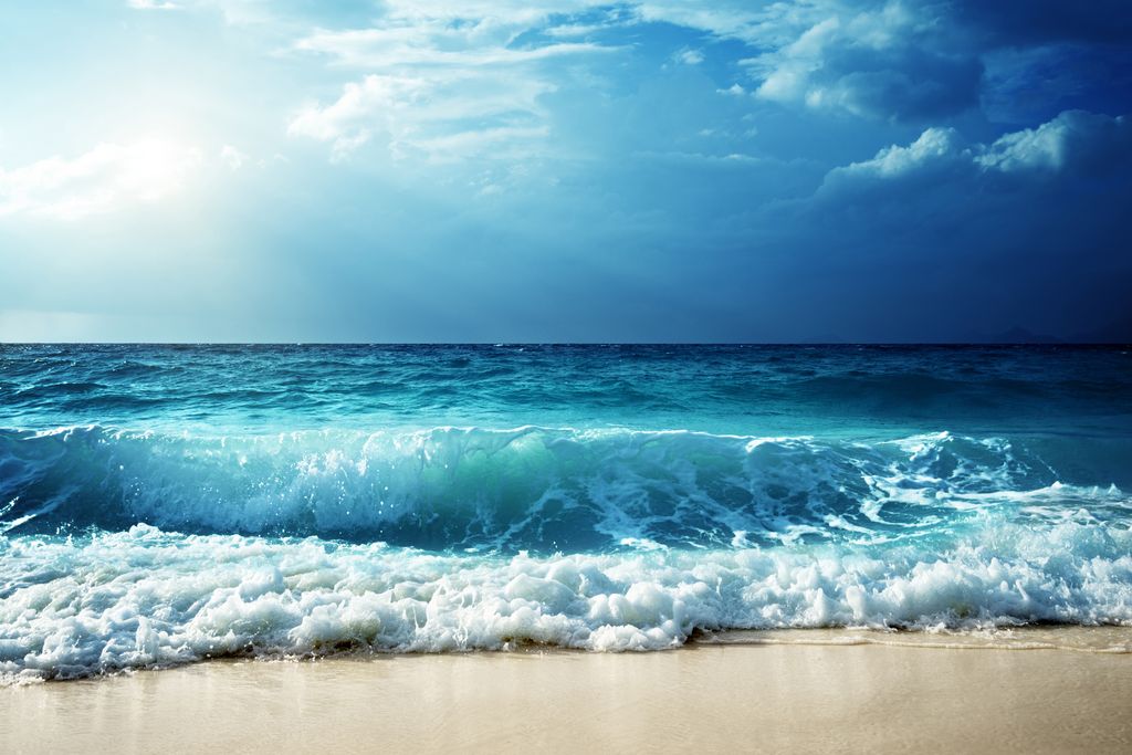 Nord- und Ostsee Nord- und Ostsee