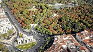 Megaciudades, árboles y polución