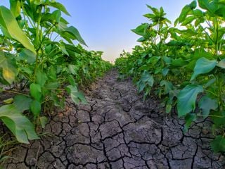 Megasequía y crisis hídrica: Evidencias del cambio climático en Chile