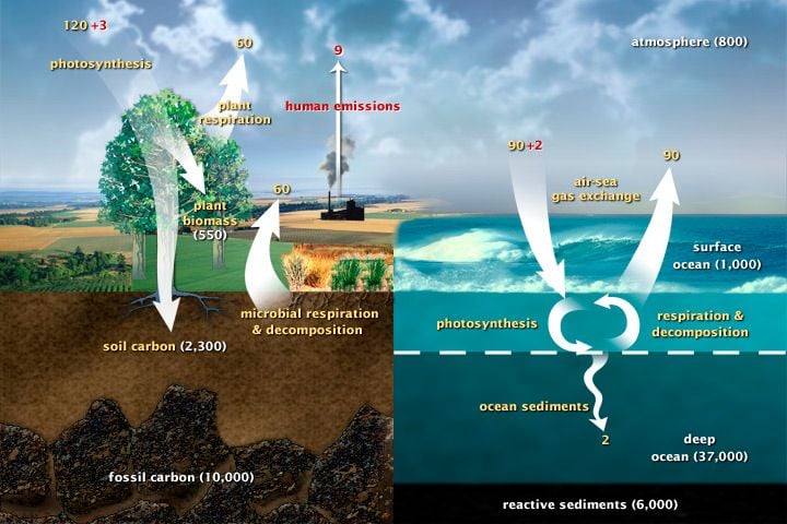 El ciclo del carbono lento - Vista al Mar