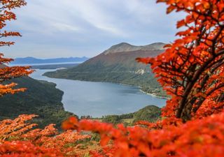 Los 6 lugares más bonitos para fotografiar el otoño en Argentina