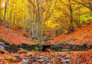 Los mejores parques naturales de España para visitar este otoño