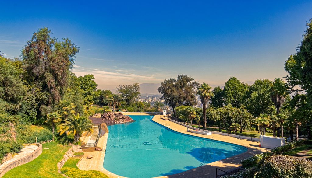 Las especies elegidas para decorar un espacio de piscina han de tener características especiales
