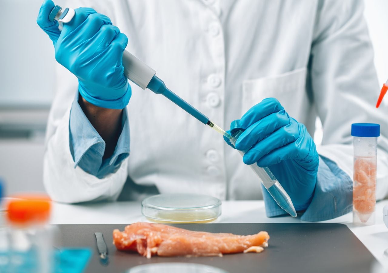 As análises de controlo de qualidade ajudam a identificar os focos de salmonella e, assim, a proteger os consumidores.