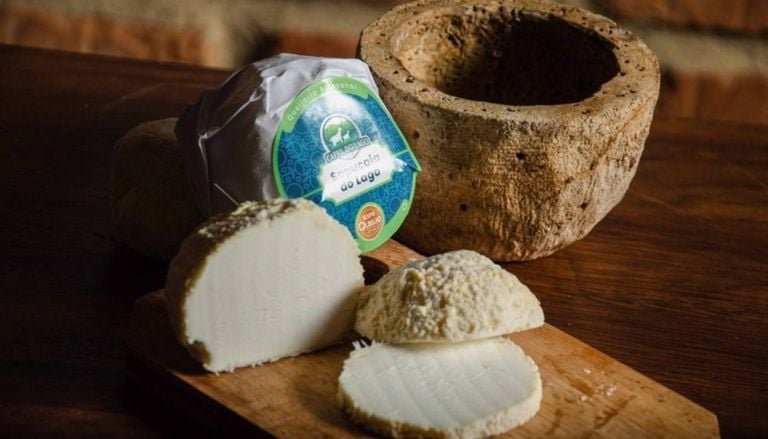 Melhor queijo de cabra do mundo é brasileiro; veja qual é e onde é produzido