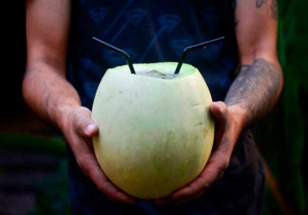 Su primera mención literaria aparece en la novela española Sota de Copas, Reina de Espadas (1986), aunque en Chile se consume desde mucho antes en zonas rurales. Imagen: Ser Argentino