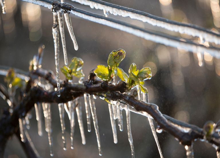 Menace d'un coup de froid sur la France la semaine prochaine ? Menace d'un coup de froid sur la France la semaine prochaine ?