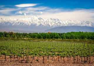 Mendoza elegida en el top 10 de Forbes como destino turístico en 2021