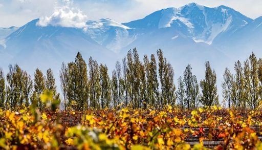 Mendoza en oto&ntilde;o: el viaje que combina vino, paisajes y tranquilidad absoluta