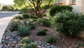 Menos malezas y menos mantenimiento: la alternativa al mantillo que dura a&ntilde;os y gana lugar en los jardines