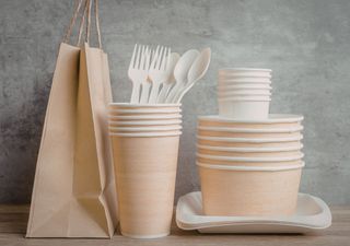 Menos plástico en la mesa: la nueva etapa de la Ley de Plásticos ya rige en Chile