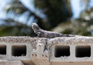 Mérida ya es una "Isla de Calor" por efecto de la urbanización