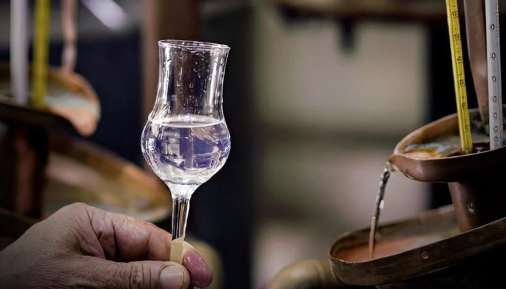 Durante mayo, muchas pisqueras abren sus puertas con recorridos especiales, catas y actividades culturales que permiten acercarse a la historia de este destilado. Imagen: Pisco Chile