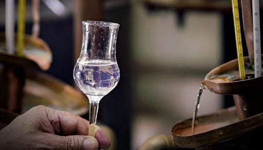 Mes del Pisco en Chile: cu&aacute;ndo se celebra y cu&aacute;les son los piscos chilenos premiados en el mundo