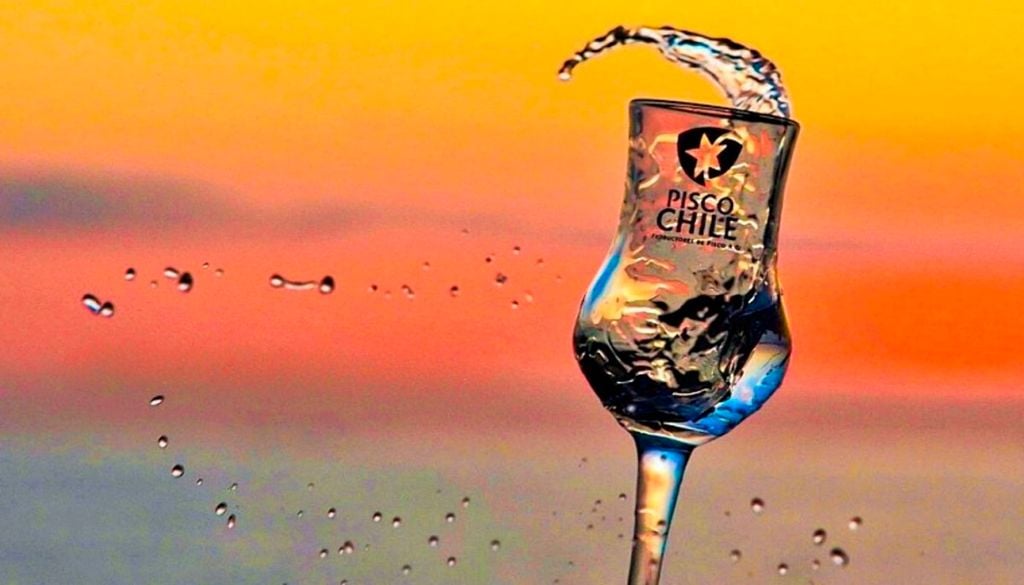 Uvas aromáticas como Moscatel Rosada, Pedro Jiménez, Torontel y Moscatel de Alejandría son fundamentales en la elaboración del Pisco.Imagen: Pisco Chile