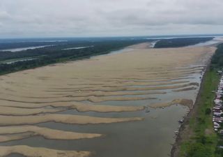 Meses após as inundações, Amazonas vive agora uma seca severa. Por que?