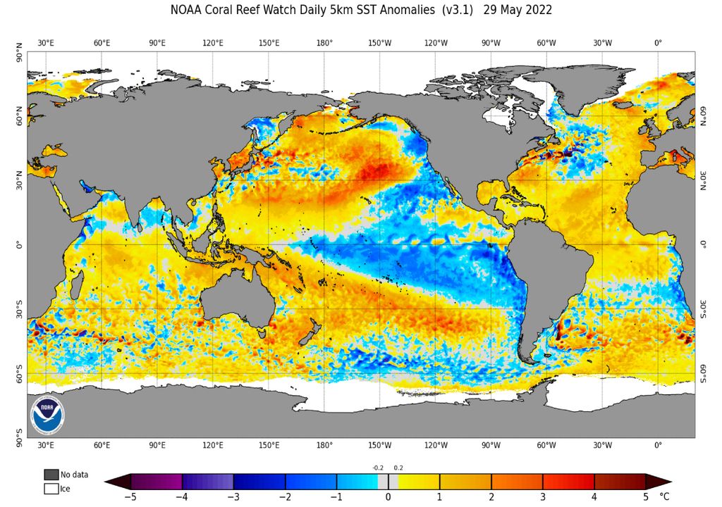 sst anomaly