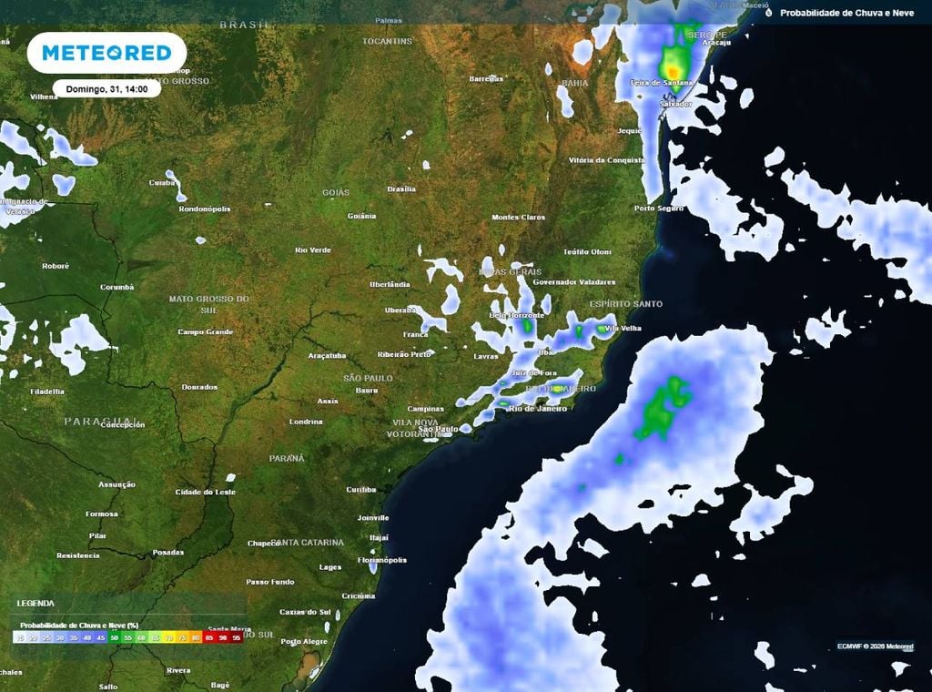 Previsão da probabilidade de precipitação (%) para domingo (31) às 14h, segundo o modelo europeu ECMWF.