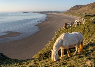 Met Office confirms warmest February on record for England and Wales, what about the wettest?