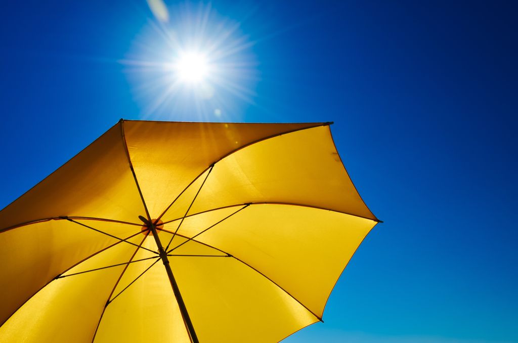 canicule canicule
