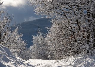 Meteo: a Natale arriva il freddo, possibili nevicate a quote collinari