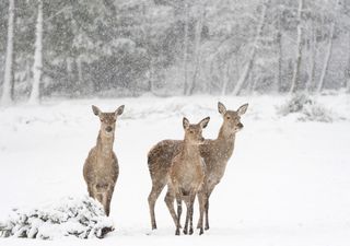Meteo: a San Clemente l’inverno mette il dente. E dicembre?