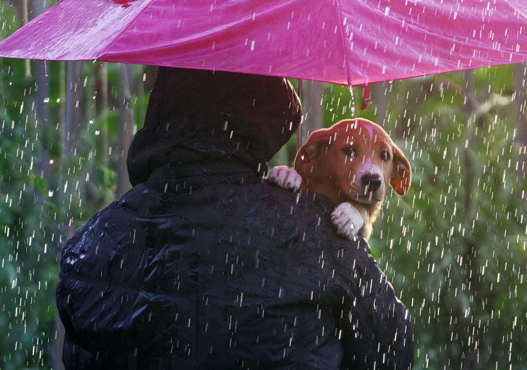 PREVISIONI METEO PREVISIONI METEO