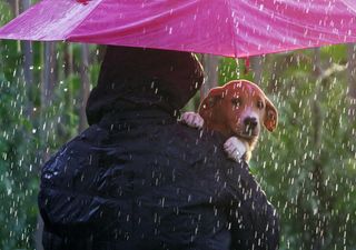 Meteo: ancora pioggia e neve ma freddo in attenuazione