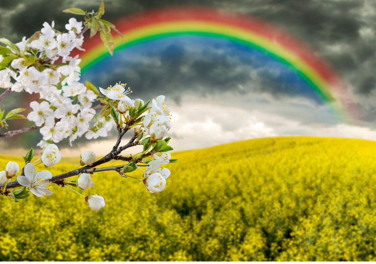 Campagna in fiore fino a venerdì, Pasqua con l'ombrello Campagna in fiore fino a venerdì, Pasqua con l'ombrello