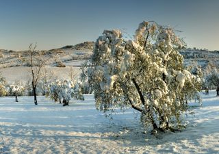 Meteo: aprile apre il sipario con il freddo. Bel tempo a Pasqua?