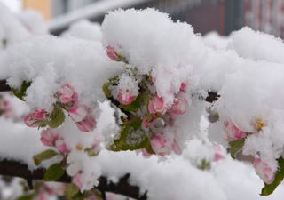Meteo, aprile inizia con freddo invernale in Italia! Dove la neve?