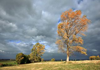 Meteo, arrivano i temporali ma il caldo resta: quanto durerà?