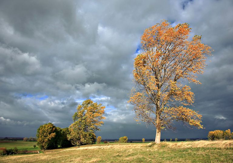 Meteo, arrivano i temporali ma il caldo resta: quanto durerà? Meteo, arrivano i temporali ma il caldo resta: quanto durerà?