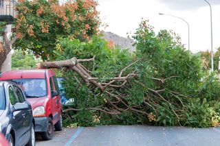 Meteo, le ultime sul maltempo in arrivo: tornano piogge e temporali