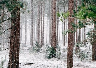 Meteo, che tempo farà a dicembre?