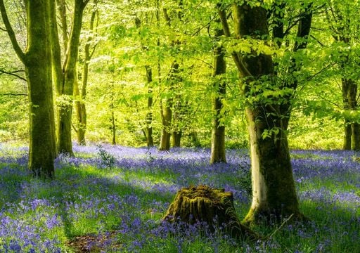 Meteo: clamorosa svolta nel weekend con prove di anticiclone e assaggio di primavera. Stop alle perturbazioni?