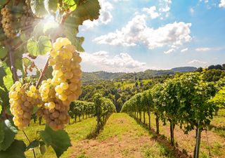 Meteo: colpo di coda dell’estate nel week end con temporali al sud