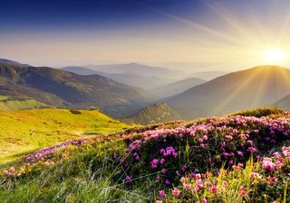 Meteo. Come sarà il mese di luglio? La linea di tendenza