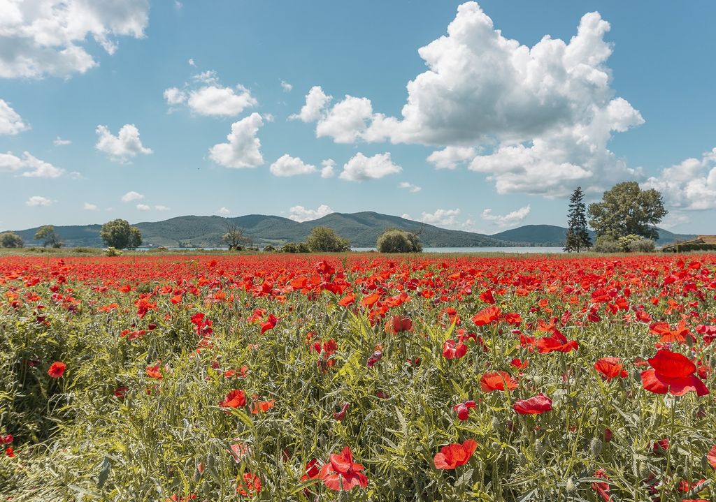 maggio2020-meteo maggio2020-meteo