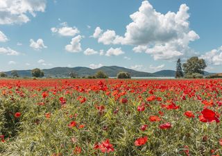 Meteo, come sarà il mese di maggio? Si inizia con clima più caldo