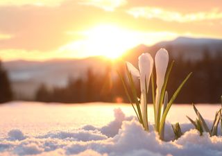 Meteo Italia, come sarà il mese di marzo? Pioggia o siccità?