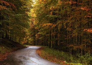 Meteo, come sarà il mese di novembre?