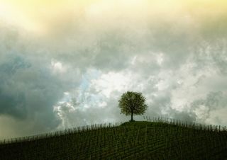 Meteo, come sarà il mese di settembre?