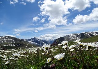 Meteo, come sarà Pasqua? Ultimi aggiornamenti