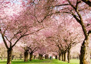 Meteo: come sarà il mese di maggio? Ecco la linea di tendenza