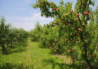 Meteo, come sarà il mese di luglio? Ecco le tendenze