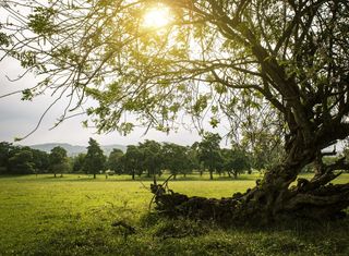 Meteo, come sarà settembre?