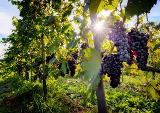 Come sarà settembre in Italia: mare molto caldo, rischio di eventi estremi